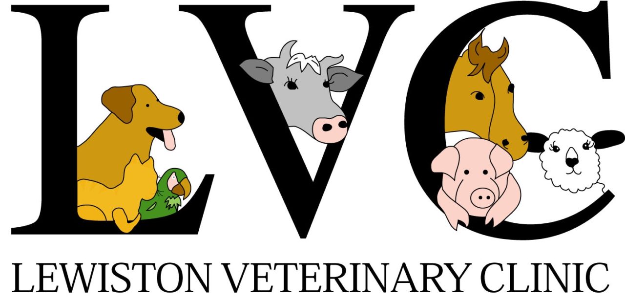 Vet Near Me Lewiston, MN 55952 Lewiston Veterinary Clinic