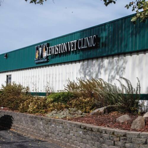 About Lewiston, MN 55952 Veterinarian Lewiston Veterinary Clinic