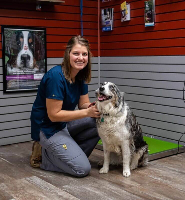 Lewiston Veterinary Clinic - Katie Olson, Veterinary Assistant Katie Olson, Veterinary Assistant