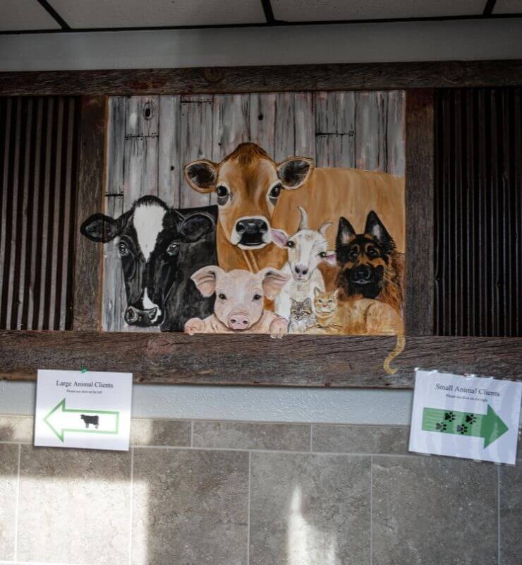 Lewiston Veterinary Clinic Gallery Vet Clinic In Lewiston