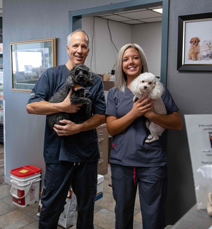 lewiston veterinary clinic team holding dogs