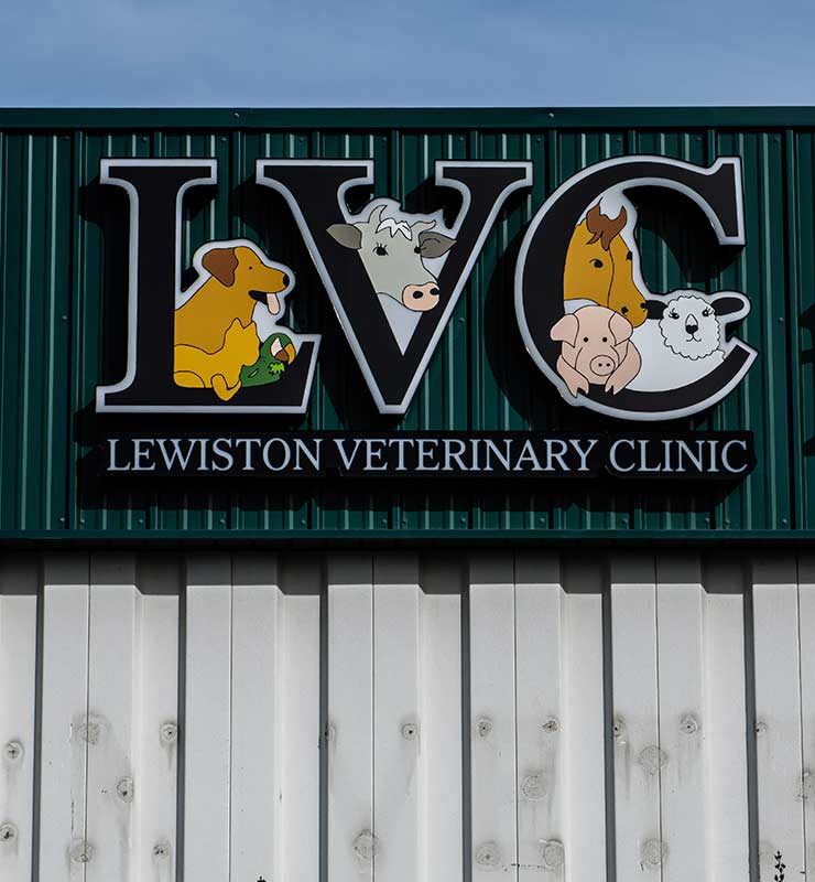 Our Community Support Lewiston Veterinary Clinic